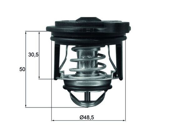 Termostat Thermostat. Integral