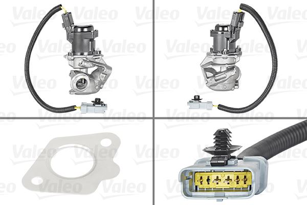Egr Valf
