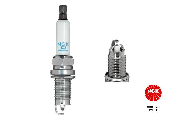 Bujİ (Tek TıRnak Platin)