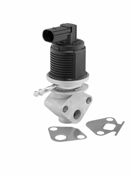 Egr-valve