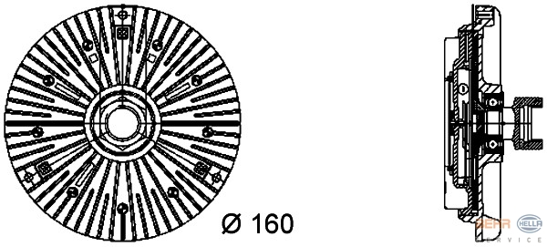 Fan Termigi