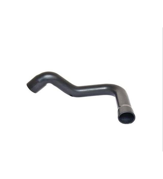 Intercolturbo Hortumu