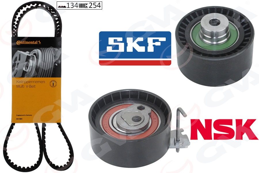 EKSANTRİK GERGİ KİTİ P206-207-307-308-PARTNER-C2-C3-C4-XSARA-BERLINGO 1.6-1.6 16V (TU5JP4) K025581XS DFM SUCCE 1.6 16V (09-13) (TU5JP4)