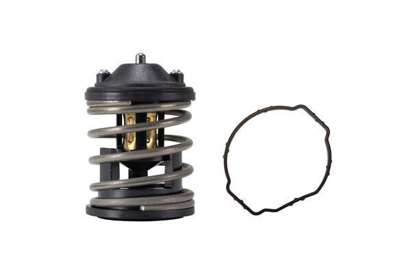 TERMOSTAT 87C