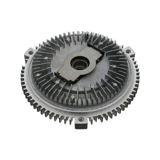 Fan Termigi