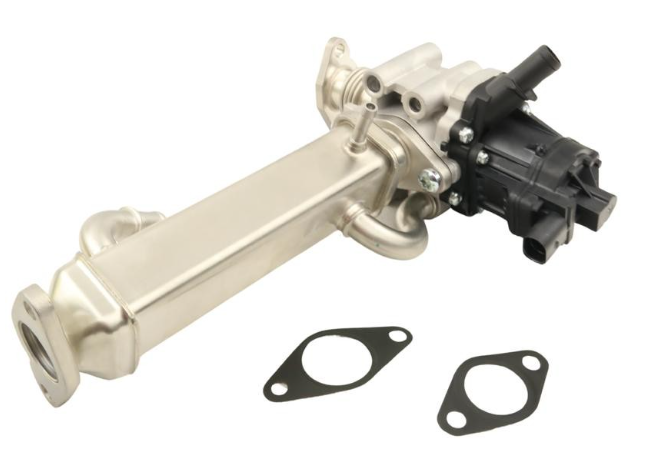 Egr Valfi