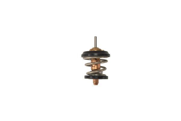 Thermostat. Coolant