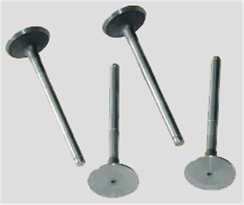 Subap Emme+egzoz KNG-EXP-R19 F8Q-MGN-LGN 1.9 00=&g...