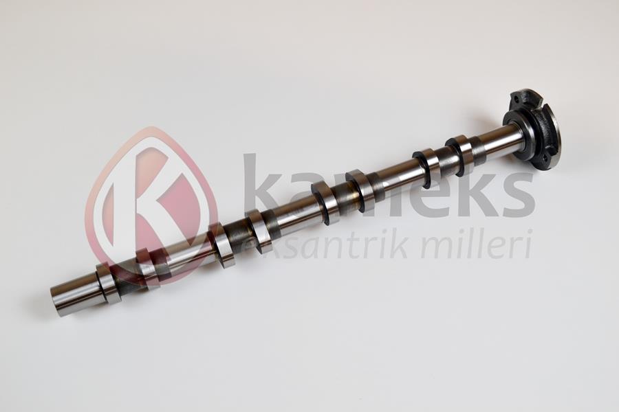 Eksantrik Mili