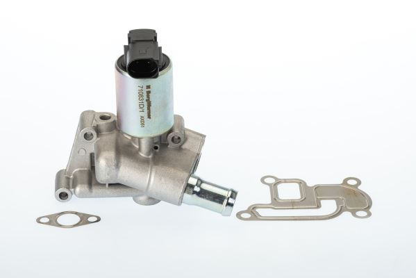 Egr Valfi