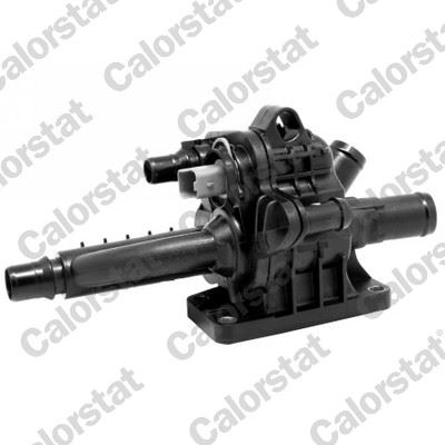 Termostat (Komple) (83C) P207-P208-P301-P308-P508-...