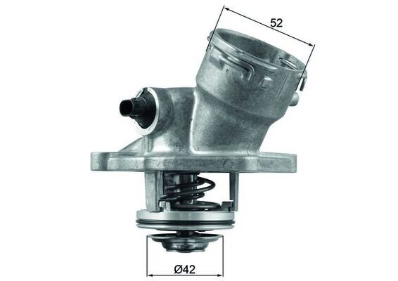 Termostat 100 °C