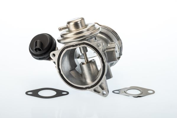 Egr Valfi