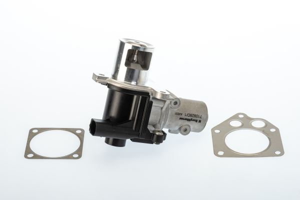 Egr Valfi
