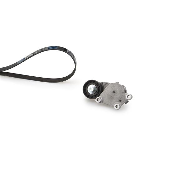 Alternatör Gergi Kiti P206-P307-P1007-C2-C3-C4-BMA...