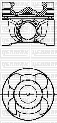 Piston + Segman