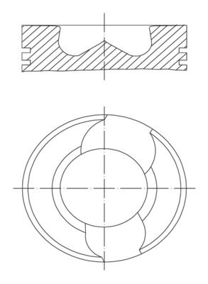 Piston+segman (81,01mm Std