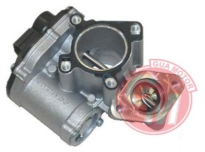 Egr Valfi