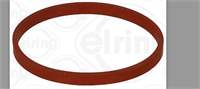 OrİNg Egr Valfİ