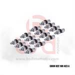 Supap Iticisi (12MM) Alz-bfq-bgu-bse-blr-bly-bvz 1,6-2,0 Fsi