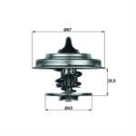 Termostat 79 °C M-benz-iveco-man-renault Contasiz