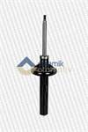Ön Amortisör Sağ P206 / P206 Sw 1,6 / 1,6HDI / 2,0 / 2,0HDI 16V 12 / 00> (Gazli)