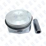 Piston+segman Takım