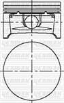 Motor Piston Segman Komple Std