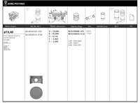 Motor Piston+segmani (Riken) 73,40+0,50mm Cap