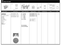 Motor Piston+segmani (Riken) 79,01+0,50mm Cap