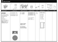 Motor Piston+segmani (Riken) 79,00+STDmm Cap