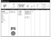 Motor Piston+segmani (Riken) 79,00+STDmm Cap