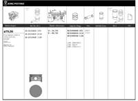 Motor Piston+segmani (Riken) 79,00+STDmm Cap