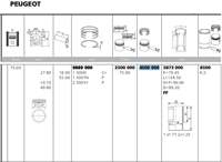 Piston Segman