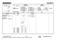 Piston Segman P306 Gti Em P306 Gti Ym