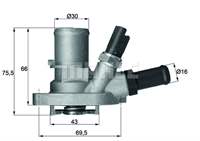 Termostat (Komple) /