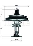 Termostat 80°C