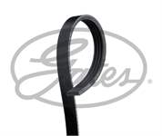 KANALLI KAYIS (4PK824) BMW E60 E64 E65