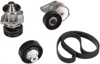 SU POMPASI + KANALLI KAYIS SETI (GERGI RULMANI+GERGI KUTUGU+DEVIRDAIM+KAYIS)BMW E39 E38 E46 E53
