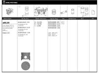 Motor Piston+segman