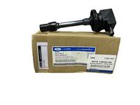 ATESLEME BOBINI (KALEM ) FOCUS IV 17>