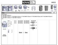 Motor Piston+segman (88,60MM) /