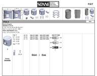 Motor Piston+segman