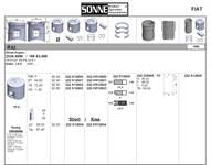 Motor Piston+segman