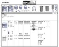 Motor Piston+segman Std