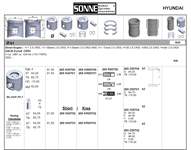 Motor Piston Segmanli (Std) Starex