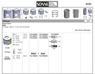 Piston+segman (79,51MM Std