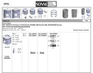 Motor Piston+segman