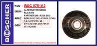 V Kayış Gergi (Alternatör) Rulmanı P206 P206+