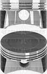 Motor Piston Segman (79,00MM) / 79,00+STDmm Cap